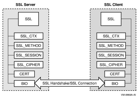 ssl basic connectivity